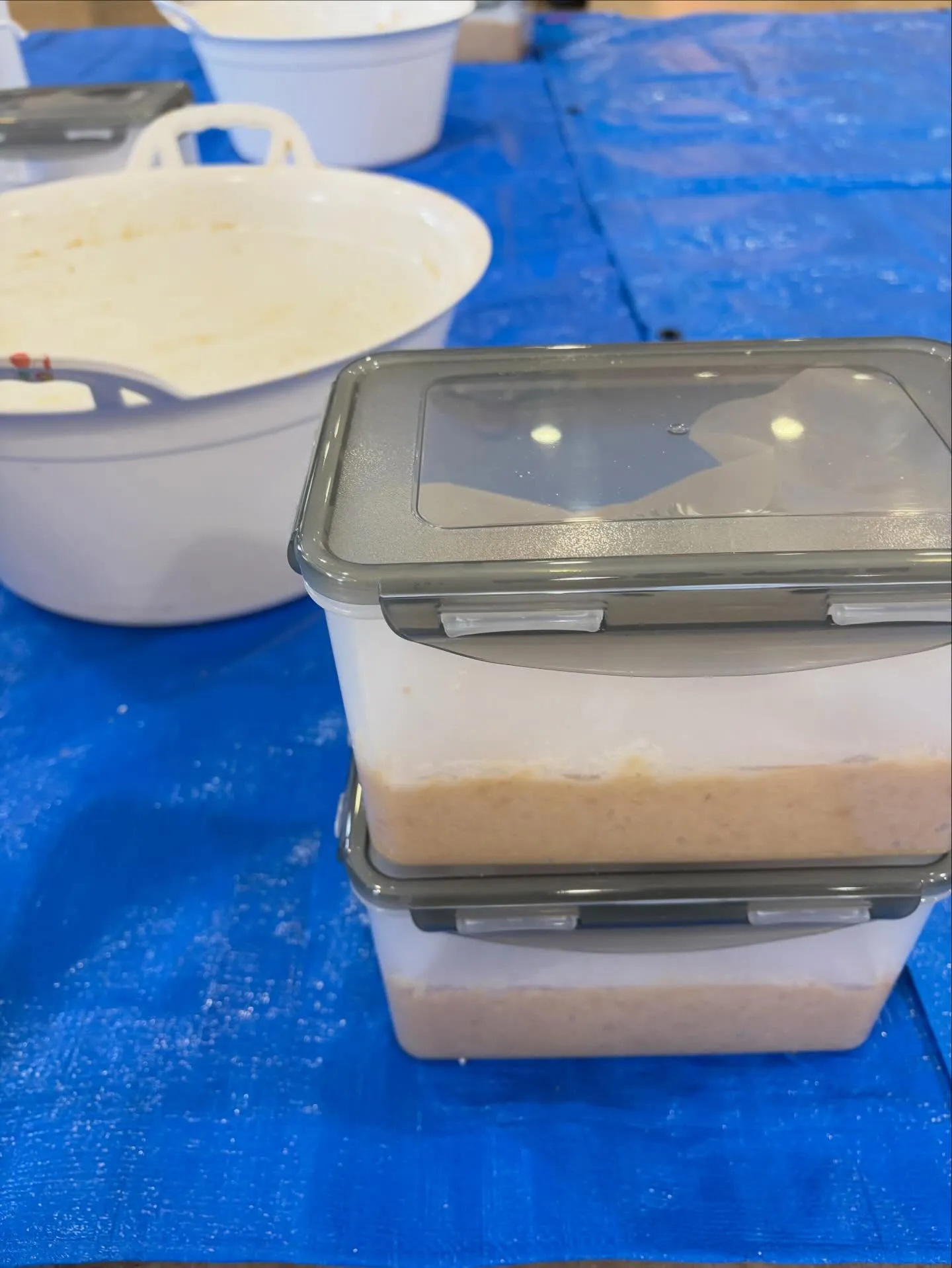 お味噌つくりのワークショップに参加してきました！